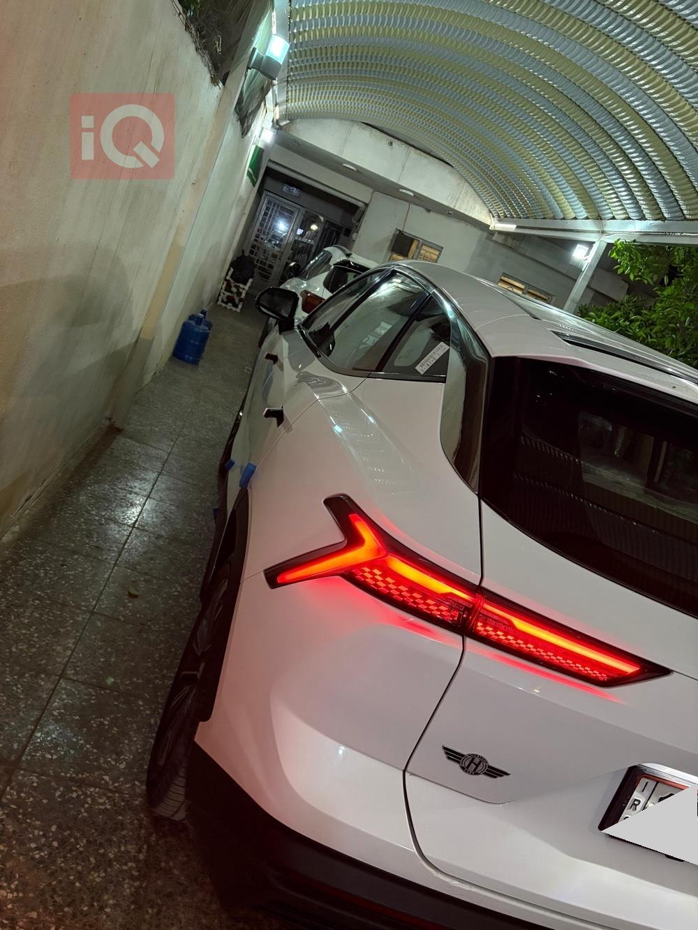 جيتور داشينج